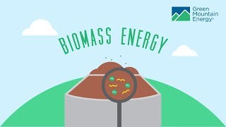 Renewable Energy 101 How Does Biomass Energy Work [upl. by Eiramoj]