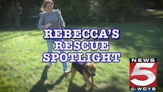 Rebeccas Rescue Spotlight January 29 February 2 [upl. by Russian]