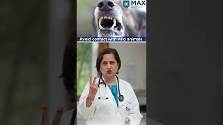 What are 3 ways to prevent rabies in humans  Max Hospital [upl. by Annam]