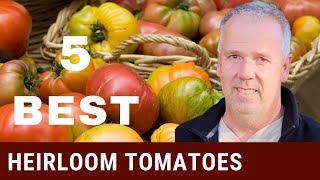 5 Favorite Heirloom Tomatoes to grow in 2022 [upl. by Ricki]