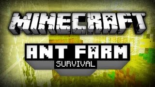 Ant Farm Survival  Épisode 10  Enchantman [upl. by Olivia]