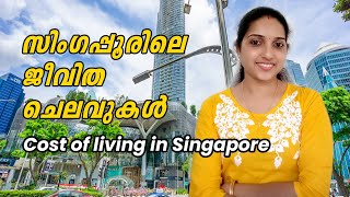 Cost of Living in Singapore  For Job Seekers  സിംഗപ്പൂരിലെ ജീവിത ചെലവുകൾ [upl. by Carper]