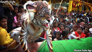 South side tiger dance 🐯 juloos  from Kharagpur 2024 [upl. by Aneelad995]