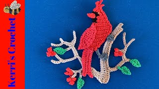 Crochet Cardinal Tutorial – Crochet Applique Tutorial [upl. by Snebur]