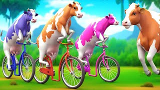 3 Giant Color Cows Race to Victory in a Funny Cycle Challenge Funny Cow Cartoon Videos [upl. by Mela439]