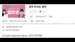 입트영 20240710 Cruciate Ligament Injury [upl. by Ilac]