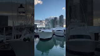 2023 Miami Boat Show Preview DBMIBS [upl. by Pearman828]