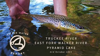 OntheWater Report  Truckee R  EF Walker R  Pyramid Lake  mid October 2024 [upl. by Venable]