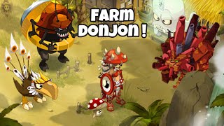 Le farm donjon rend il riche  DOFUS Ilyzaelle [upl. by Zahara]