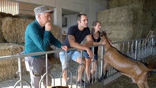 RAVINA DI TRENTO PICCOLI RUMINANTI PER GRANDI PRODOTTI [upl. by Lyrrad]