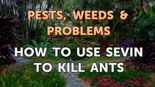 How to Use Sevin to Kill Ants [upl. by Stefania900]