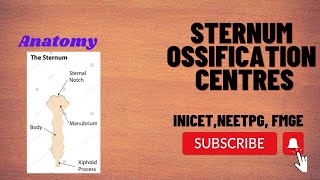 Sternum ossification centres [upl. by Etnaihc216]