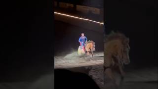 Reining horses🔛🔝🤩 shorts horse reining western equestrian horsebackriding equines fyp [upl. by Hteb]