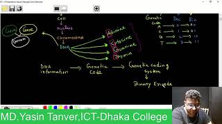 Topic Bioinformatics Genetic Engineering MD Yasin Tanver Asst Programmer ICT Dhaka College [upl. by Bertasi]