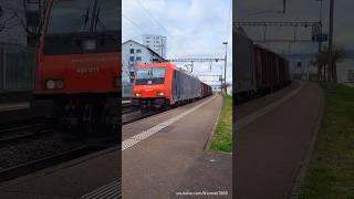 SBB Güterzug beim Bahnhof Neuenhof  Kanton Aargau  Schweiz 2024  shorts [upl. by Garaway998]