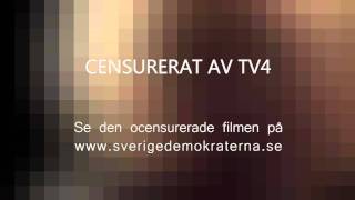 Sverigedemokraternas valfilm av TV4 censurerad version [upl. by Chavey]