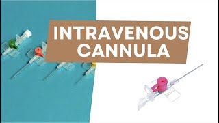 Intravenous cannula  Radiotherapy Edutech  Common terms in Oncology [upl. by Esilenna98]