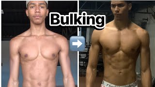 EVOLUÇÃO ECTOMORFO 3 meses em bulking [upl. by Aidekal]