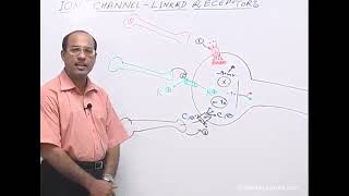 Receptors amp Intracellular Signaling Dr Najeeb Lectures  Part 3 [upl. by Lucius]