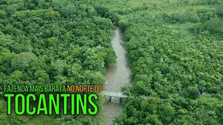 FAZENDA BARATA A VENDA DUPLA APTIDÃO NO NORTE DO TOCANTINS [upl. by Analaf]