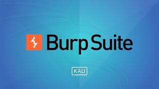 How to Use Burp Suite [upl. by Euqinu]