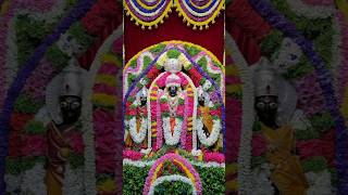 Srinivasa Govinda Sri Venkatesa Govinda  Tirumala Balaji [upl. by Chernow803]