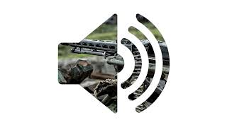 MG42 Sound Effect  SFX [upl. by Ross]