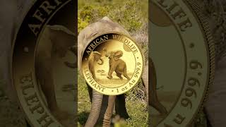 🐘 Somalia Elephant 1oz Gold Coin 2024 from CelticGold [upl. by Cerell]