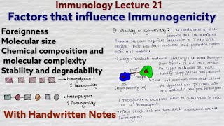 Immunogenicity  Factors that influence immunogenicity  Immunology lecture 21 [upl. by Eiloj]