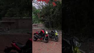 Bajaj family ⚙️⚡ yoututeshorts bajajbikes trendingshorts bajajmotorcycles dominar400 400cc [upl. by Dagney]