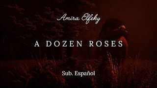 Amira Elfeky  A Dozen Roses Sub Español [upl. by Sivat765]