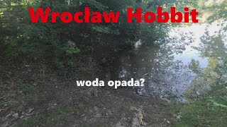 Powódź Wrocław  Hobbit  Awantura o Kota [upl. by Schoenfelder54]