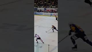 Lausitzer Füchse vs EHC Freiburg 💙💛💪 [upl. by Ylnevaeh]