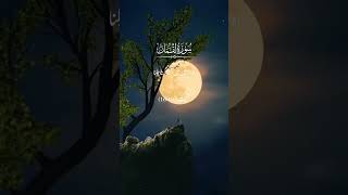 Translation Holy Quran In Urdu  islamicstatus muslimreels muslimstatus ayatoftheday quran [upl. by Suravaj406]