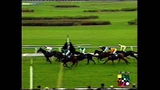 2001 West Midland Light Kit Selling Handicap Chase [upl. by Victor]