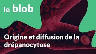 Origine et diffusion de la drépanocytose [upl. by Lleze]