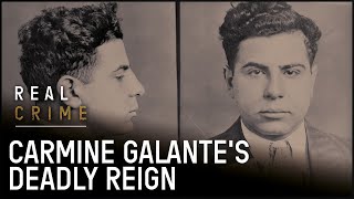 Brooklyns Infamous Mob Hit Of Carmine Galante [upl. by Smeaj114]