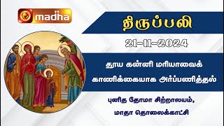 தமிழ் திருப்பலி  21112024  Holy Mass in Tamil  0600 AM  MADHA TV [upl. by Adnaloy]