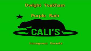 CHK0822 13 Dwight Yoakam Purple Rain KARAOKE INSTRUMENTAL [upl. by Orferd]