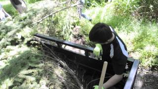 Reedsport students help create fish habitat [upl. by Tully526]