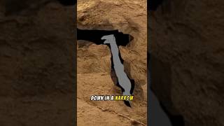 The Tragic Story of Nutty Putty Cave 💀 facts didyouknow cave tragedy tragicstory [upl. by Forlini]