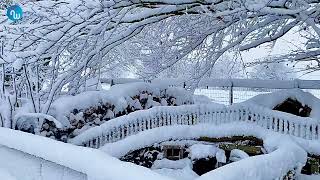 Flink pak sneeuw in de Ardennen Wondermooie beelden 080122 [upl. by Ymmot526]