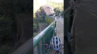 baguiocity mountains nature travel views shortvideo shorts [upl. by Delmor]