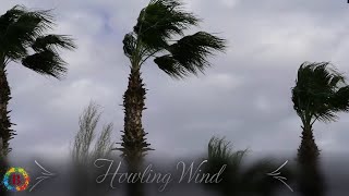 Howling Wind  Sounds for sleep and relaxation [upl. by Ynahpets]