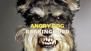 Angry Dog Heavy Barking Sound Compilation  Angry Dog Bark and Growl See How Your Dog Reacts [upl. by Thomasina]