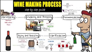 Wine making process step by step Detail guide of wine makingpreparation and making of wine [upl. by Eeneg166]