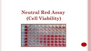 Neutral Red Assay Cell Viability 🔴 [upl. by Tu50]