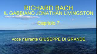 Richard Bach  Il Gabbiano Jonathan Livingston  Capitolo 7 Audiolibro [upl. by Asiluy134]