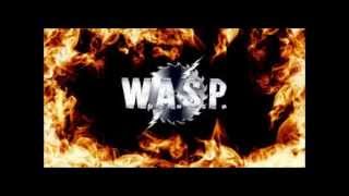 WASP Im Alive [upl. by Laenej]