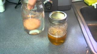 Vinegar vs Citric Acid Egg Experiment 1 [upl. by Leile291]